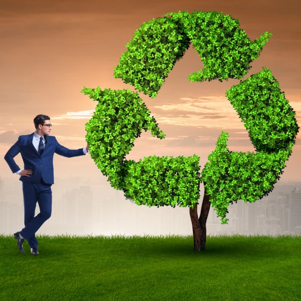 Perché ad un'azienda conviene essere più sostenibile?
