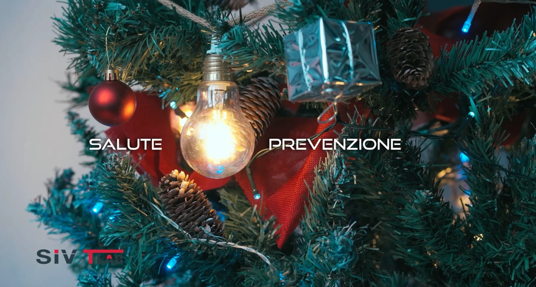 Buon natale e buon anno da SIV TLAB